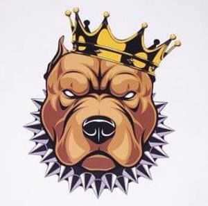 Meet your Posher, Cameron